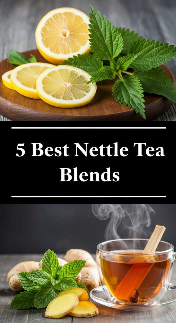 5 Best Nettle Tea Blends Step By Step Guide 69f44fb0864c4