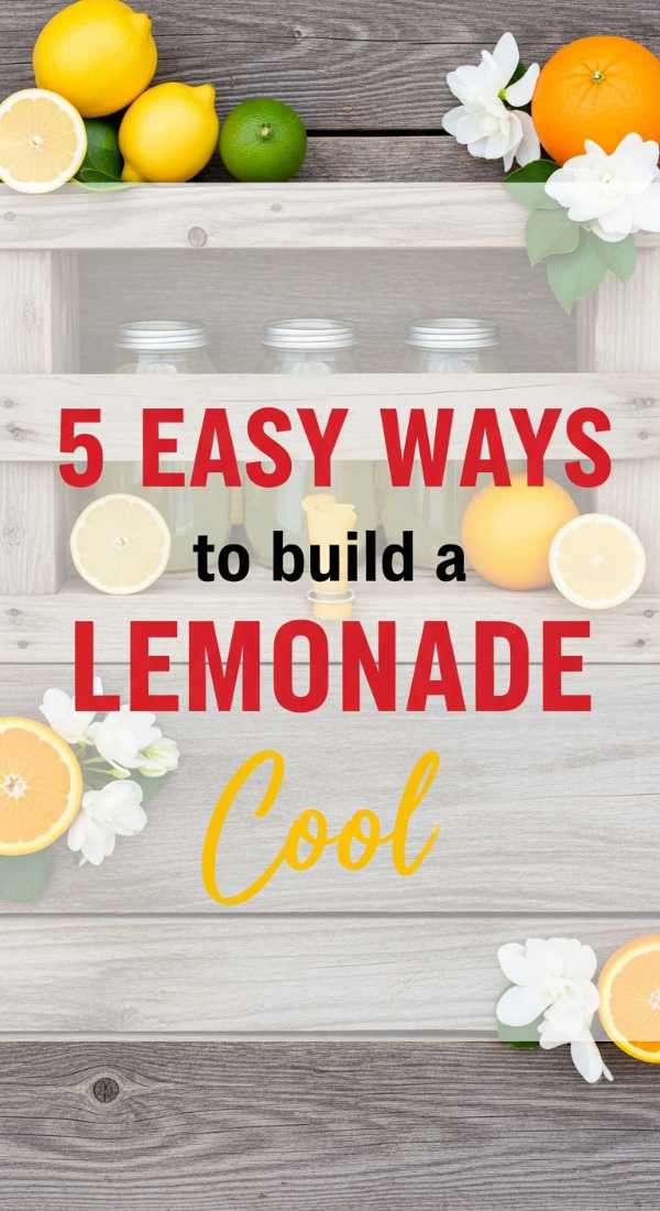 5 Easy Ways To Build A Lemonade Stand 6a0213bcc2cca