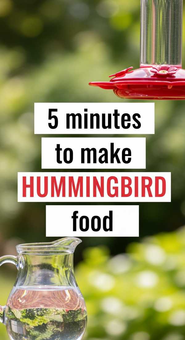 5 Minutes To Make Hummingbird Food 6a10d18b2de4b
