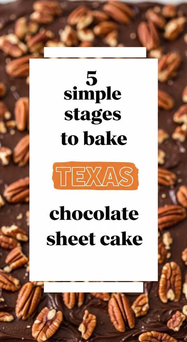 5 Simple Stages To Bake Texas Chocolate Sheet Cake 6a0706d4ee303