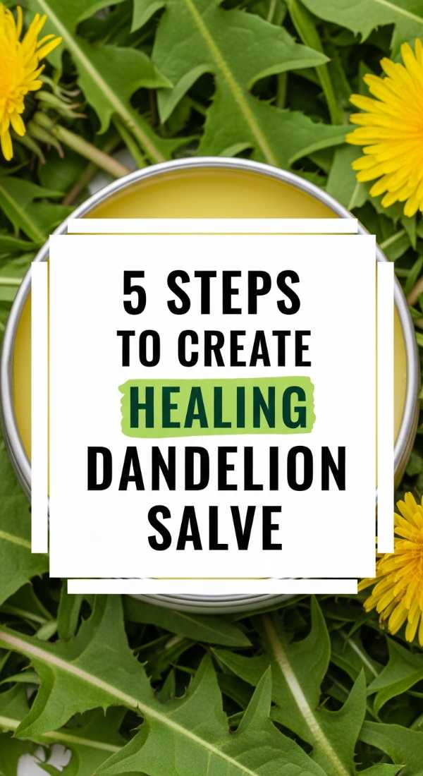 5 Steps To Create Healing Dandelion Salve 69fd8888aa41e