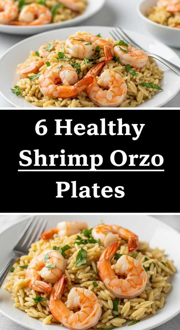 6 Healthy Shrimp Orzo Plates Step By Step Guide 69fe177d2d279