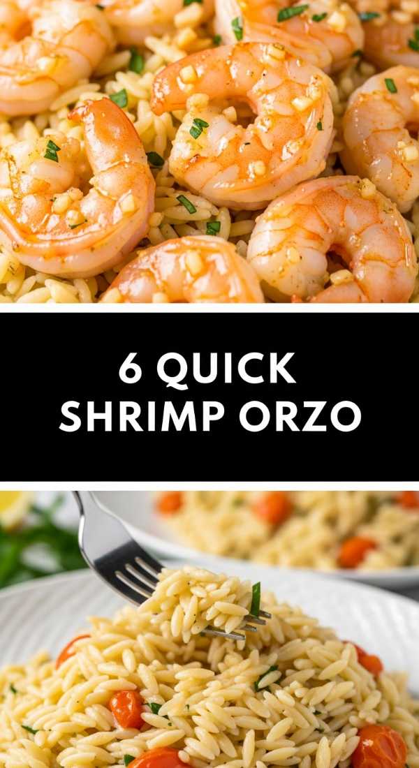 6 Quick Shrimp Orzo Meals Step By Step 69fe133370a54