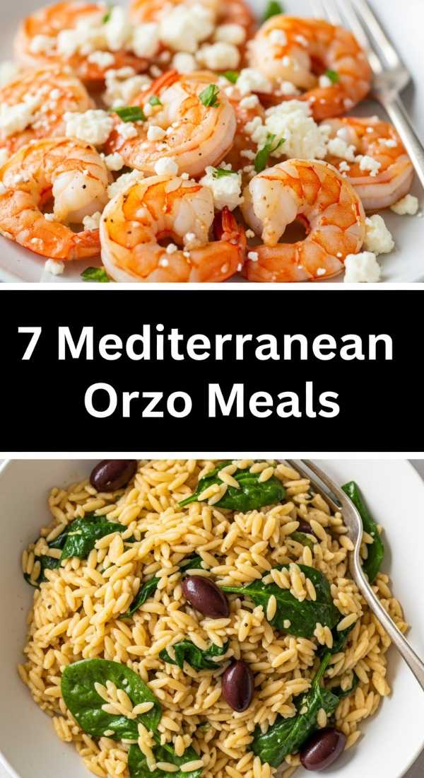 7 Best Mediterranean Shrimp Orzo Plates 69fe178140fdd
