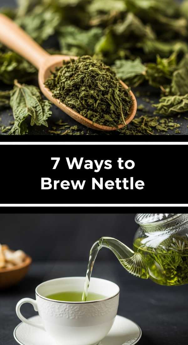 7 Easy Ways To Brew Nettle Tea 69f451ded0376