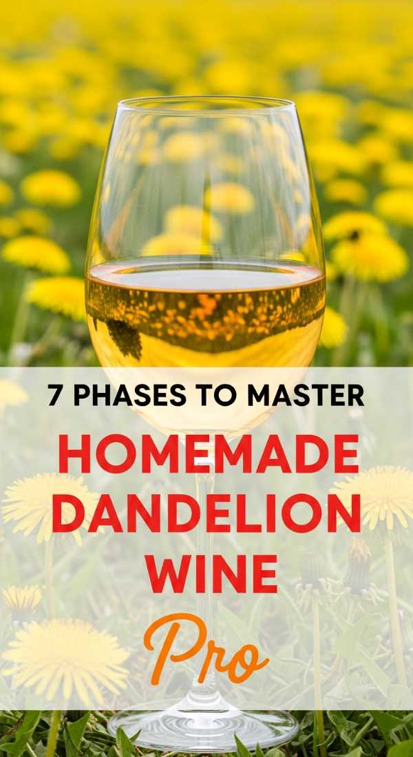 7 Phases To Master Homemade Dandelion Wine 69f451417067f