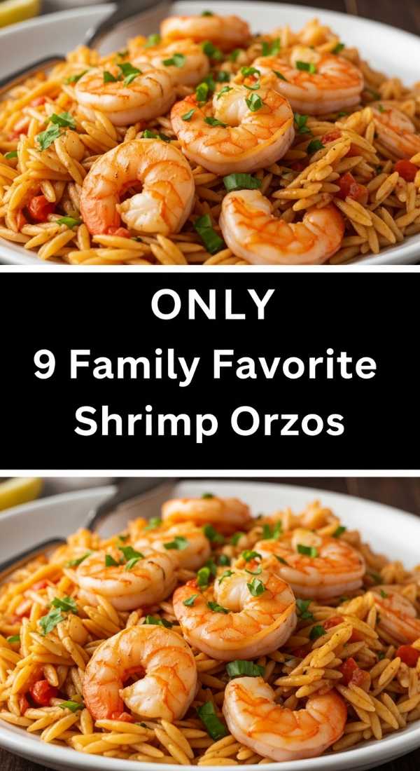 9 Family Favorite Shrimp Orzos Step By Step Guide 69fe177e45c6e