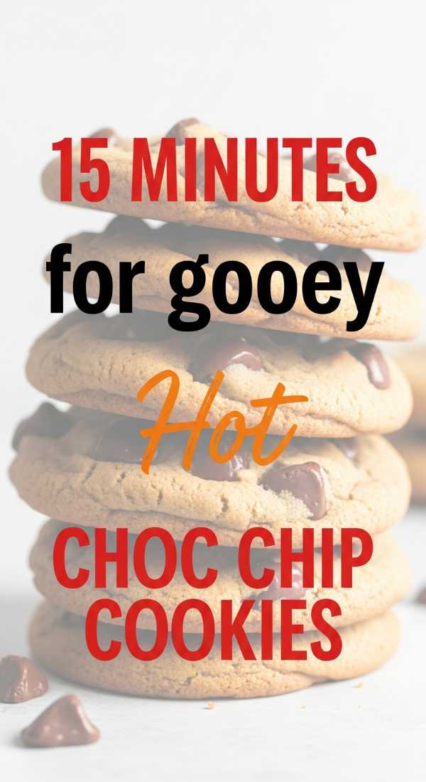 Bake 24 Gooey Chocolate Chip Cookies In 15 Minutes 69f8635eeeee2