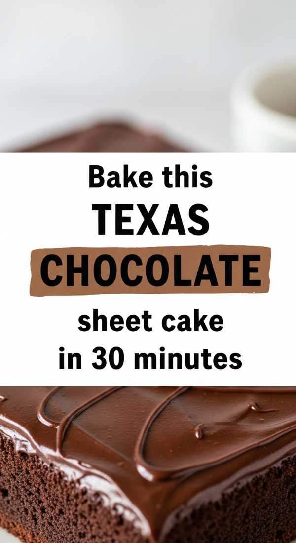 Bake This Texas Chocolate Sheet Cake In 30 Minutes 6a07025dda9bf