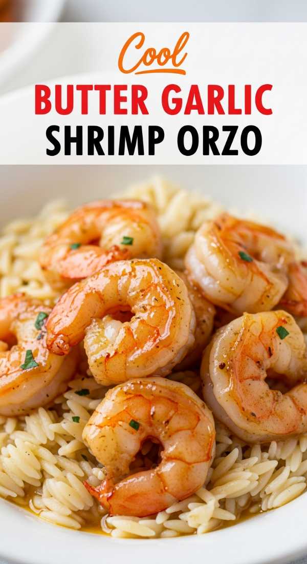 Cook Buttery Garlic Shrimp Orzo In 4 Simple Phases 69fd78d4c2a64