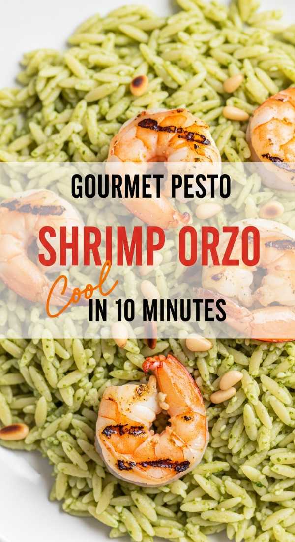 Create 1 Gourmet Pesto Shrimp Orzo Meal In 10 Minutes 69f5d521a1447