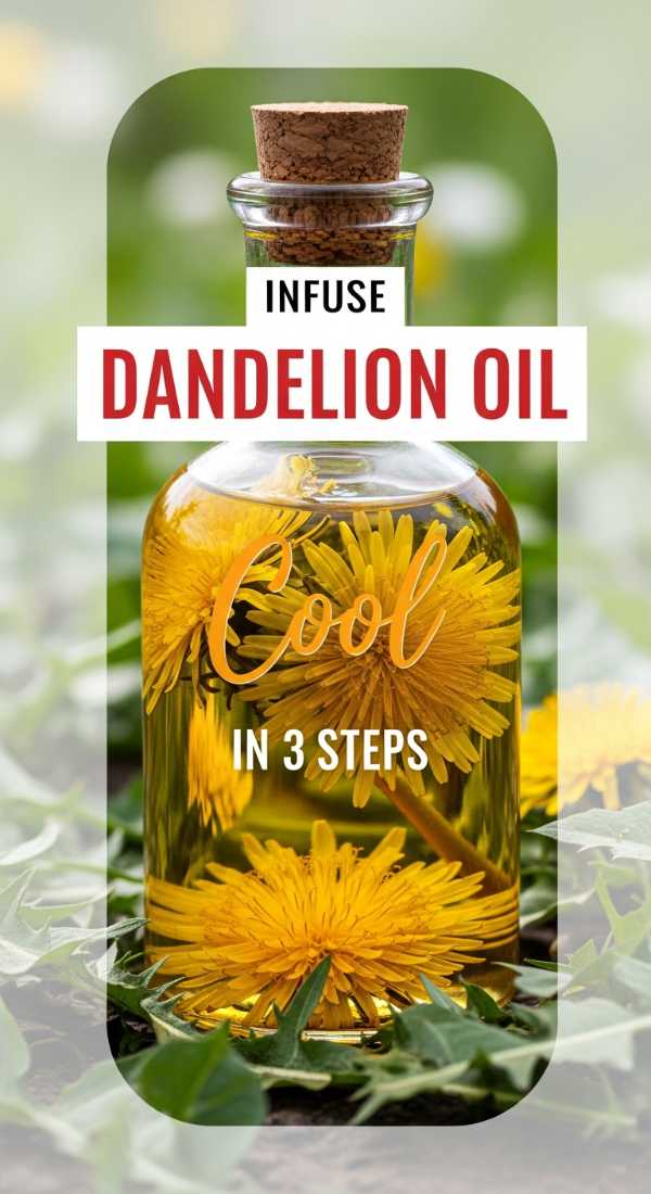 Create Soothing Dandelion Infused Oil In 3 Steps 69f5d74b0fdff