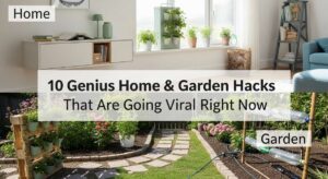 featured: 10 genius home & garden hacks that are going viral right now