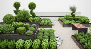featured: botanical sculpting: how to curate a living gallery of herbs