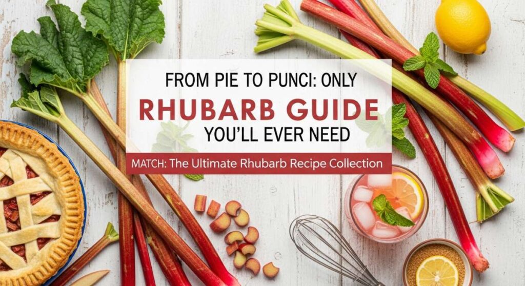 featured: from pie to punch: the only rhubarb guide you’ll ever need