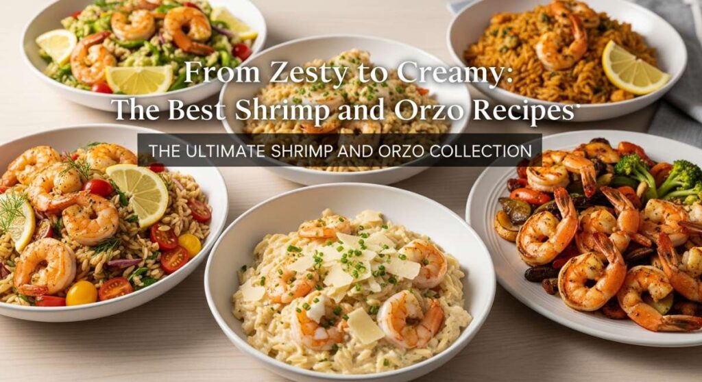 featured: from zesty to creamy: the best shrimp and orzo recipes