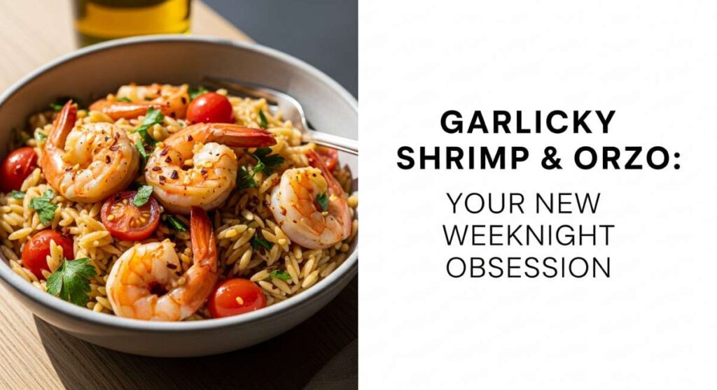 featured: garlicky shrimp & orzo: your new weeknight obsession
