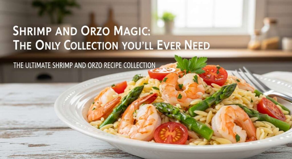 featured: shrimp and orzo magic: the only collection you’ll ever need