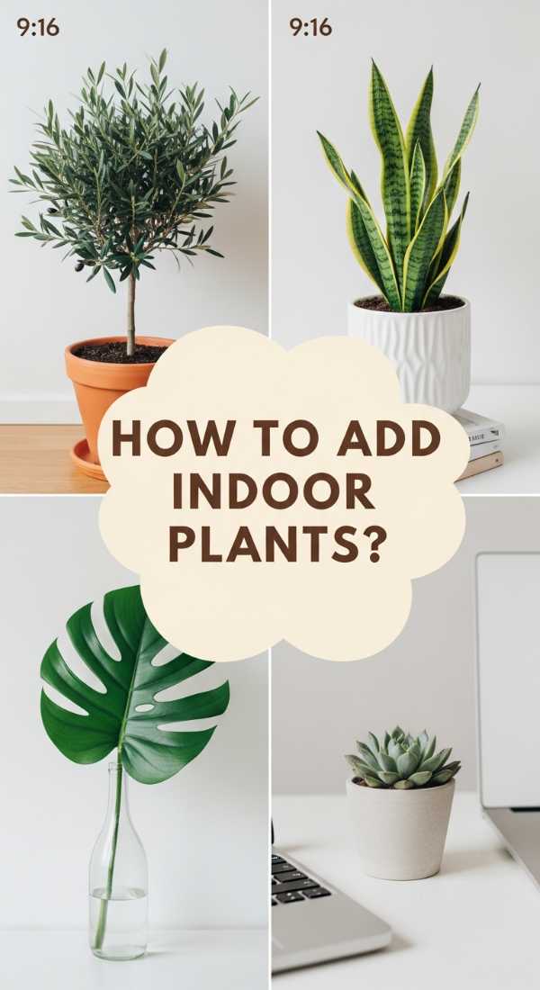How To Add Indoor Plants For A Fresh Home Vibe 6a082a67c366b