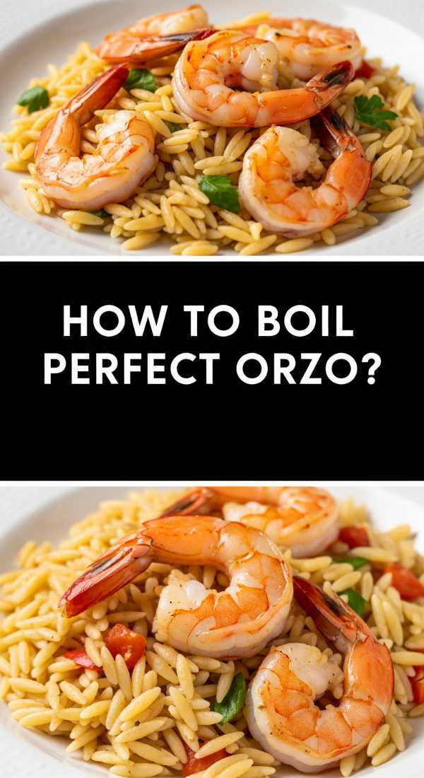 How To Boil Perfect Orzo 69f451ecaab88