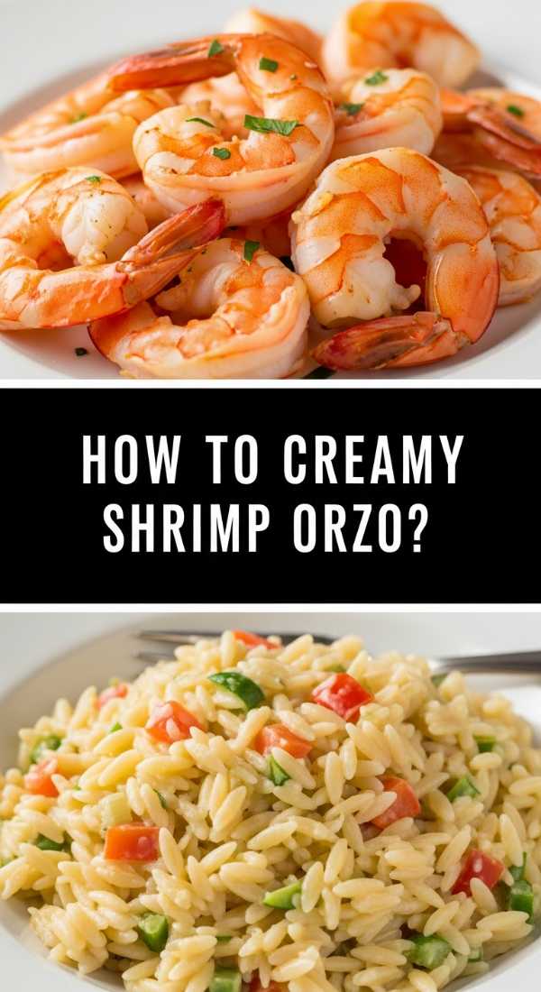 How To Cook Creamy Shrimp Orzo 69f5c3f706d56