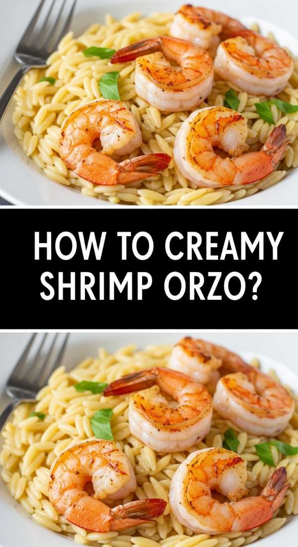 How To Cook Creamy Shrimp Orzo 69fe131e3223b