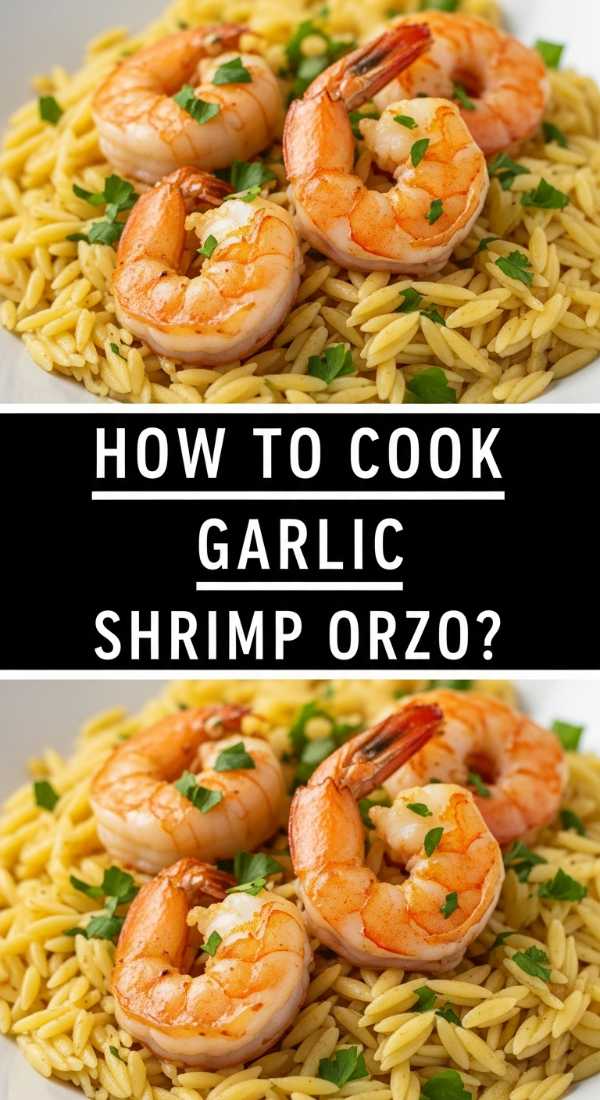 How To Cook Garlic Shrimp Orzo 69f5c3ff7a46c