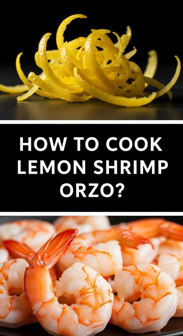 How To Cook Lemon Shrimp Orzo 69fe17a5dcedc