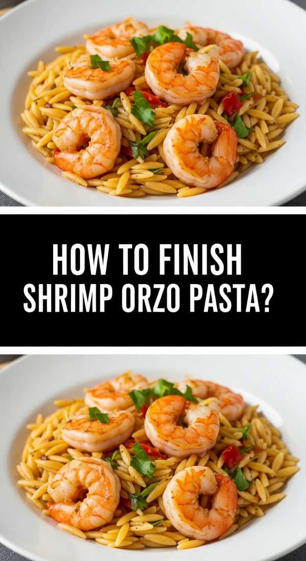 How To Finish Shrimp Orzo Pasta 69f5c3f85b50d