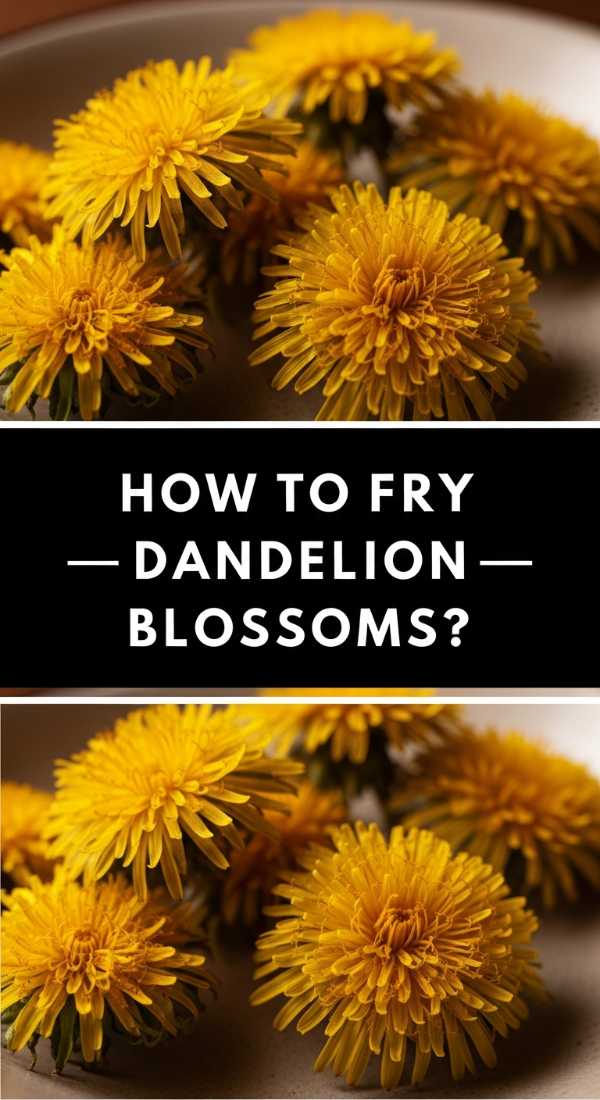 How To Fry Crispy Dandelion Blossoms 69f44fa9cc51e