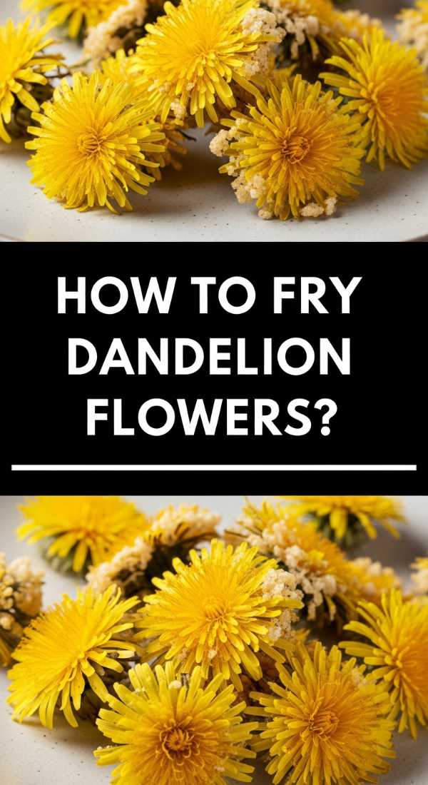 How To Fry Dandelion Flowers 69f44d172e615