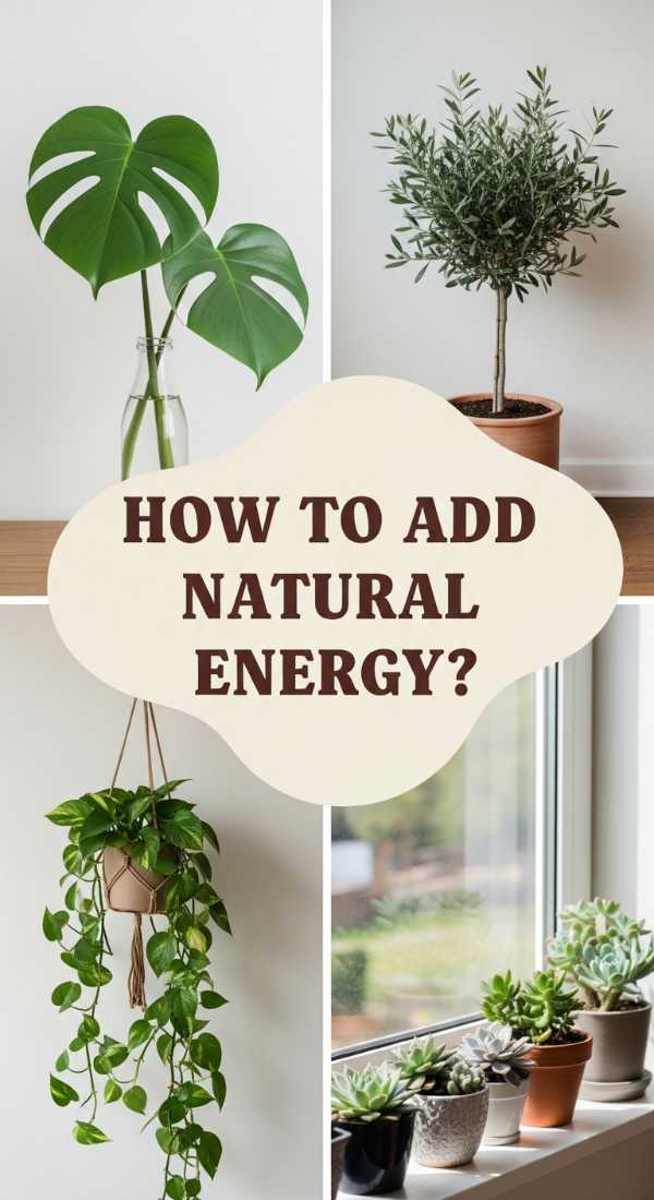 How To Incorporate Living Room Decor Minimalist Greenery For Natural Energy 6a082f114c32c