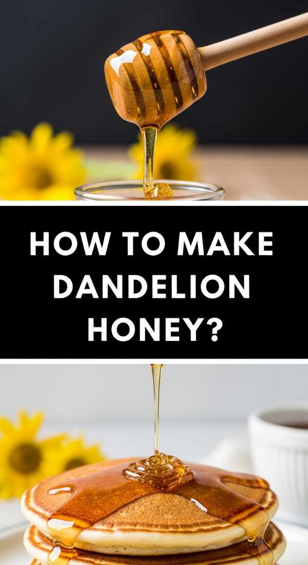 How To Make Dandelion Honey 69f5c3fb0b5c7