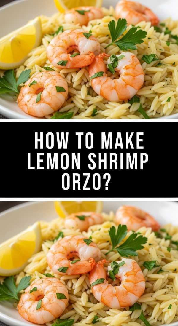 How To Make Lemon Shrimp Orzo 69f5c3ff9c4a9