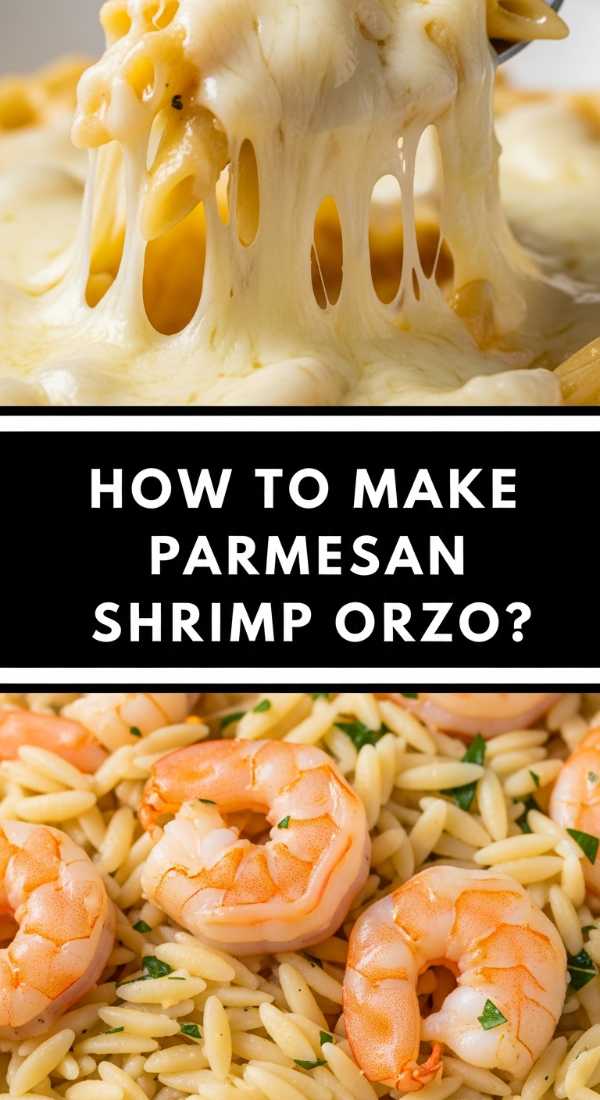 How To Make Parmesan Shrimp Orzo 69fe17a70f13c