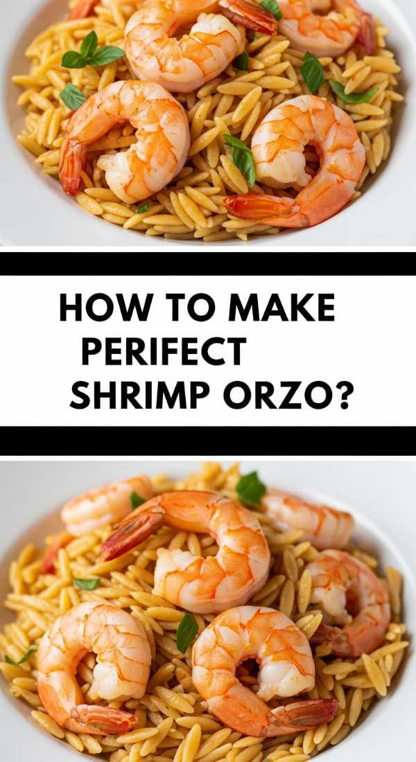 How To Make Perfect Shrimp Orzo 69f44d109736f