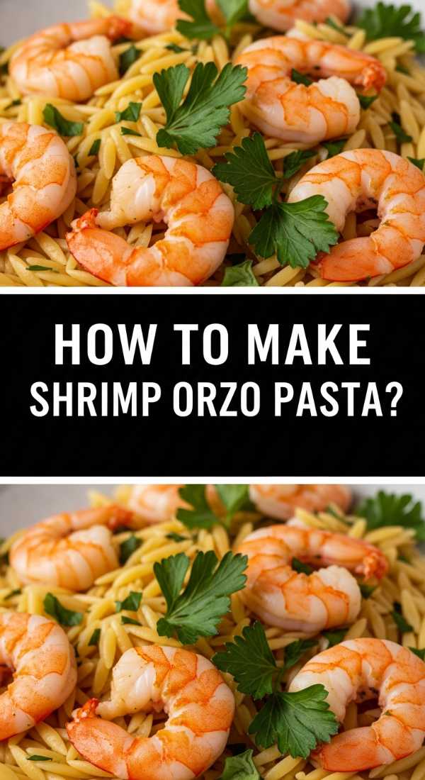 How To Make Shrimp Orzo Pasta 69f44d0fe5f42
