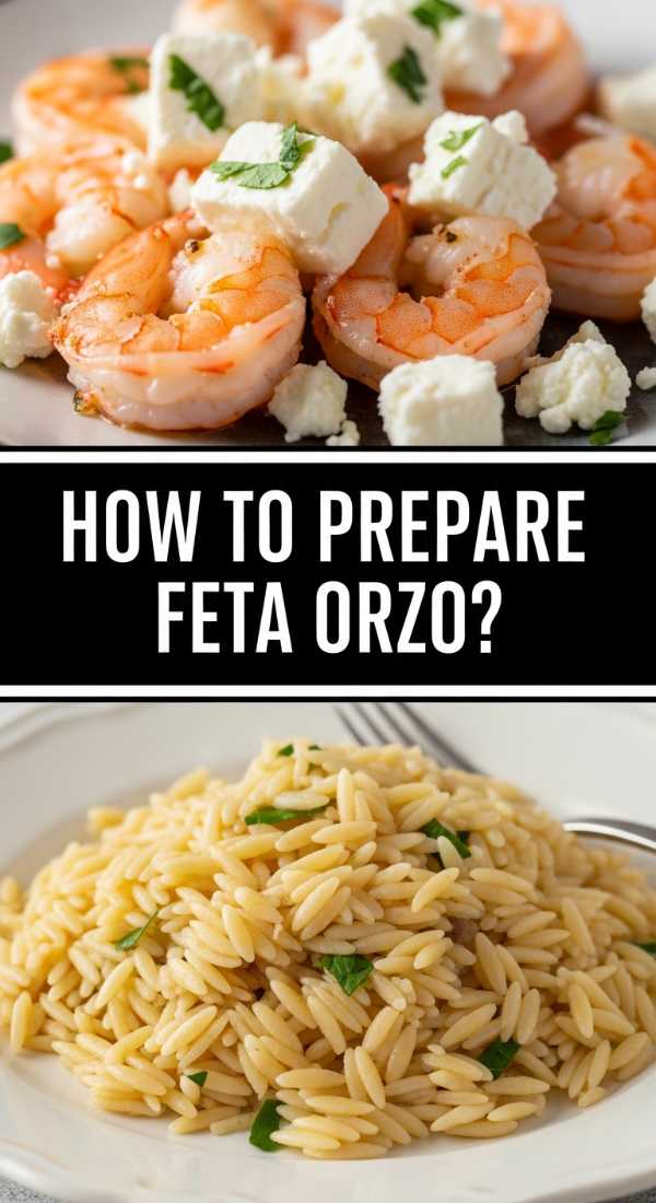 How To Prepare Feta Shrimp Orzo 69fe179ee80ab