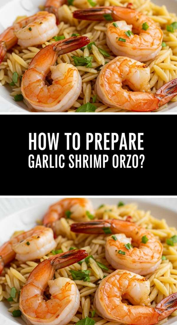 How To Prepare Garlic Shrimp Orzo 69f44d0fa78f5