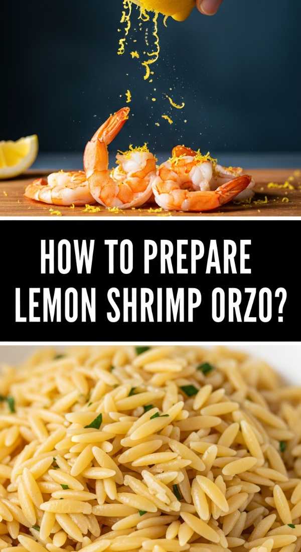 How To Prepare Lemon Shrimp Orzo 69f716e2762ae