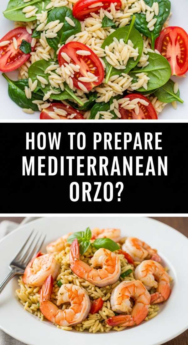 How To Prepare Mediterranean Orzo 69f451e9254eb