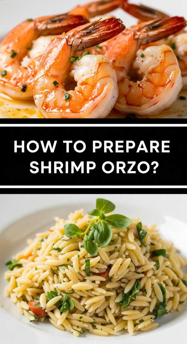 How To Prepare Shrimp Orzo 69fe131928a8a