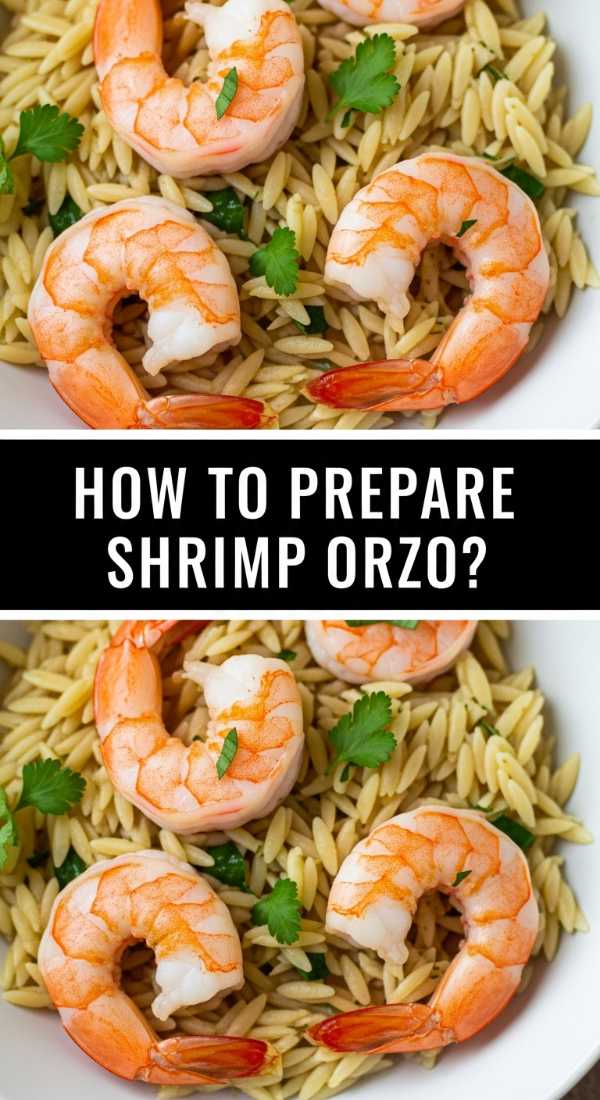 How To Prepare Shrimp Orzo 69fe13265e868