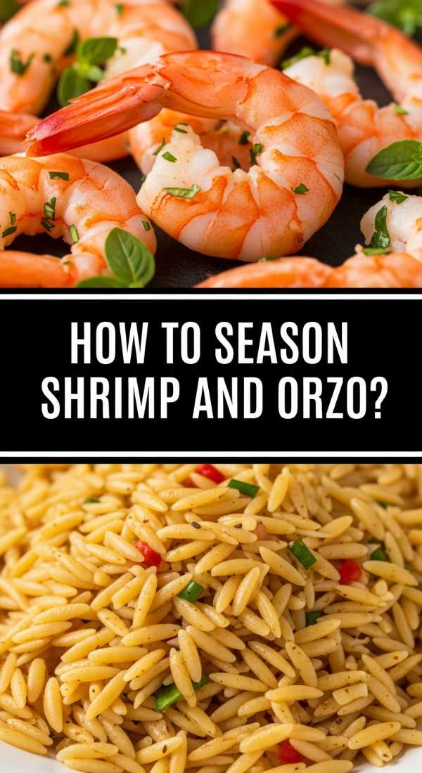 How To Season Shrimp And Orzo 69f716e29bf41