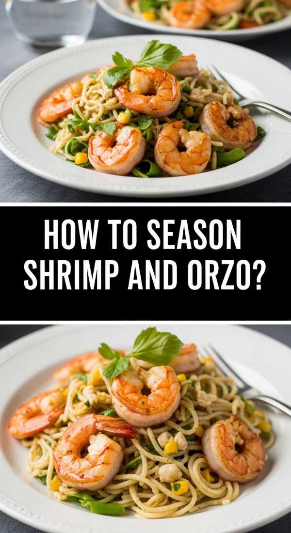 How To Season Shrimp And Orzo 69fe1316d8e51