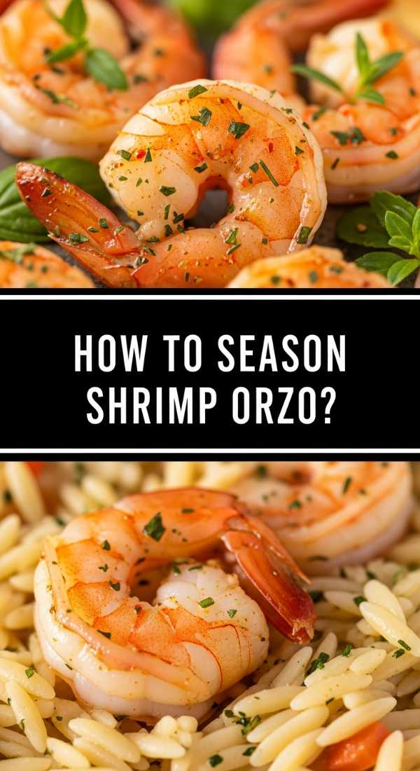 How To Season Shrimp Orzo 69fe131e67a01