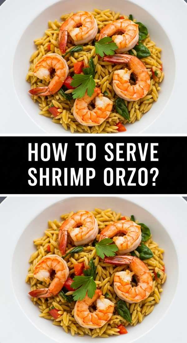 How To Serve Shrimp Orzo 69f451ecd0bf3