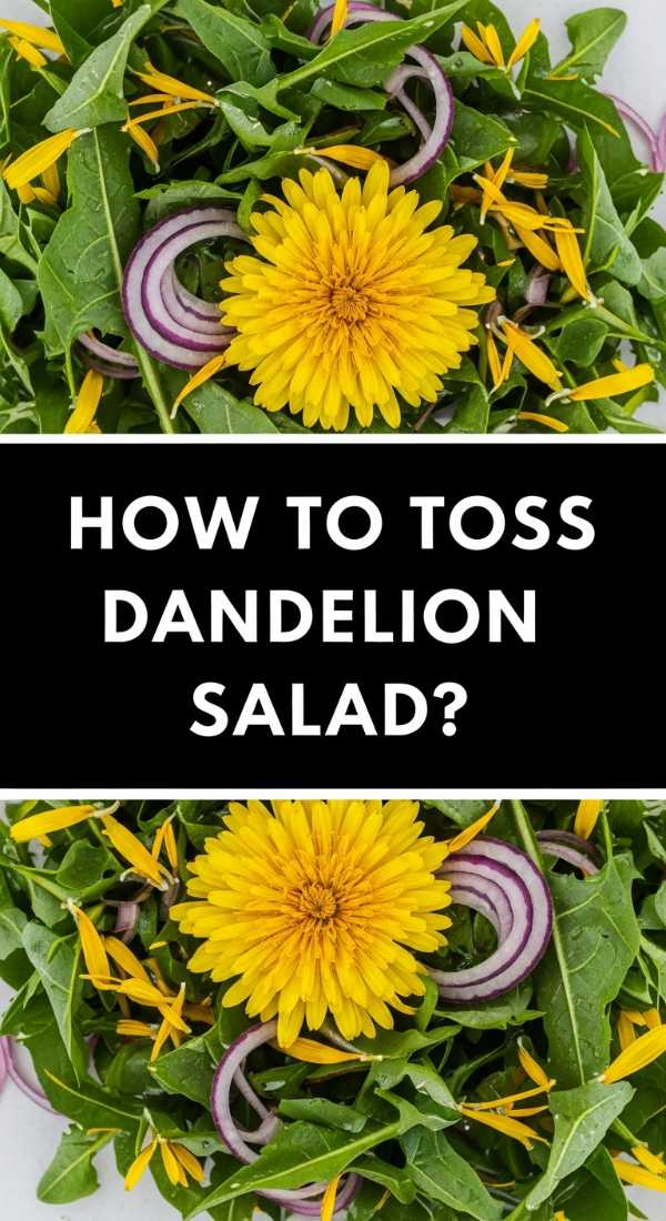 How To Toss Dandelion Salad 69f5c406e9567