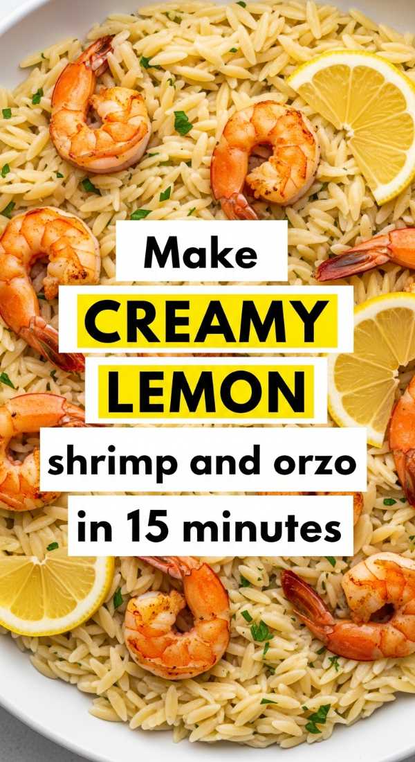 Make Creamy Lemon Shrimp And Orzo In 15 Minutes 69f5acd7c3f65