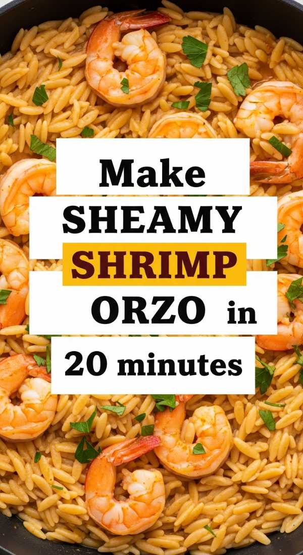 Make Creamy Shrimp Orzo In 20 Minutes 69f47f5310d6a